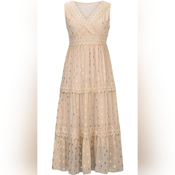 Charlie Charlie Charlotte Apricot Lace Sleeveless Empire Waist Maxi Dress - Picture 4 of 13